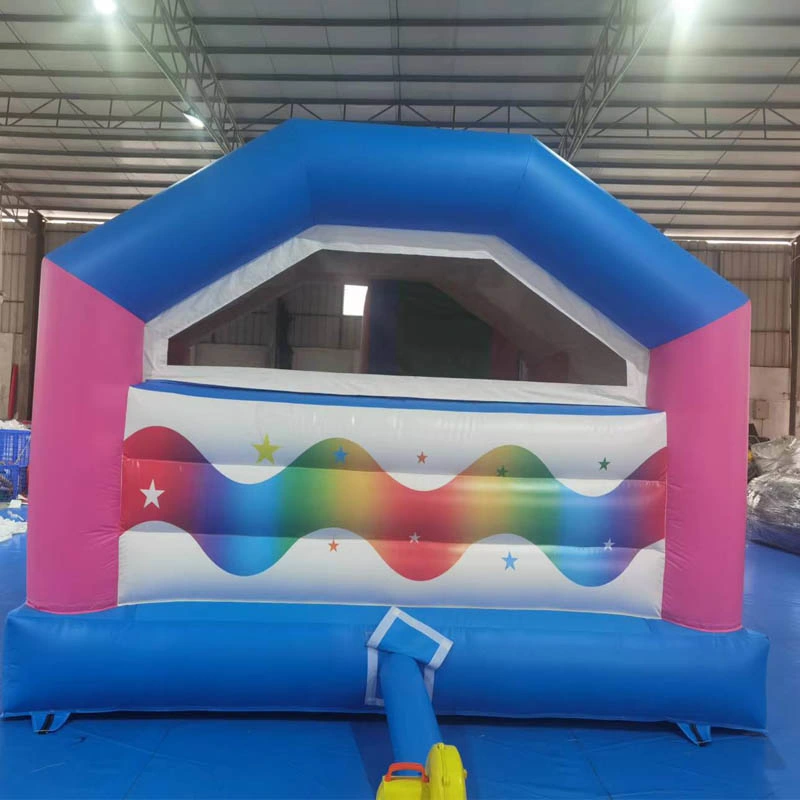 Inflatables Castle Bouncy Jumping Bouncer/ Bounce House Slide Commercial