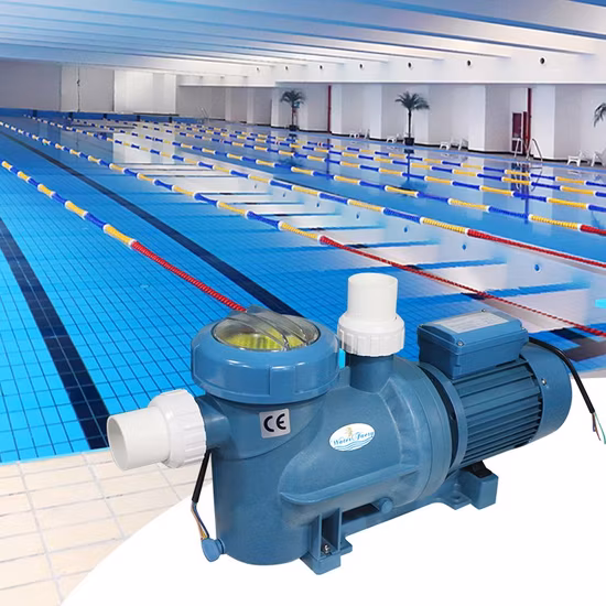 Full Set Commercial Pool Accessories Sand Filter Pool Pump Swimming Pool Equipment