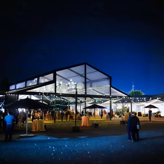 Luxury Outdoor Aluminum Transparent Wedding Marquee Party Tents